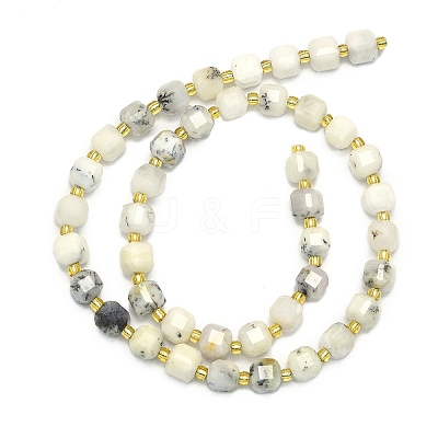 Natural White African Opal Beads Strand G-I376-D44-01-1