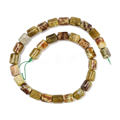 Natural Dragon Blood Jasper Beads Strands G-S396-03C-1