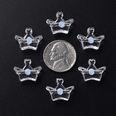 Transparent Acrylic Beads LS-MACR-S373-105-B08-1