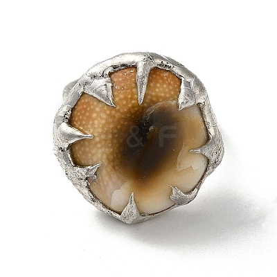 Dyed Natural Shell Eye Open Cuff Ring RJEW-M155-02S-1