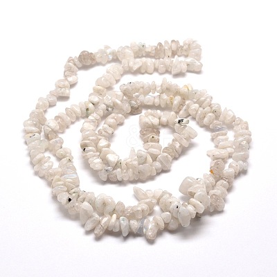 Natural Rainbow Moonstone Chip Bead Strands X-G-M205-62-1