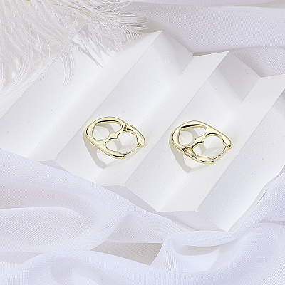 1 Pair Alloy Hoop Earrings EJEW-LP0013-04G-1