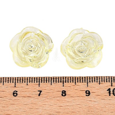 Transparent Acrylic Beads LS-OACR-N137-32D-1