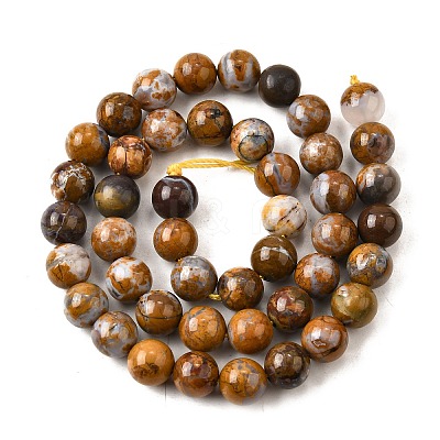 Natural African Opal Beads Strands G-S390-06-8mm-1