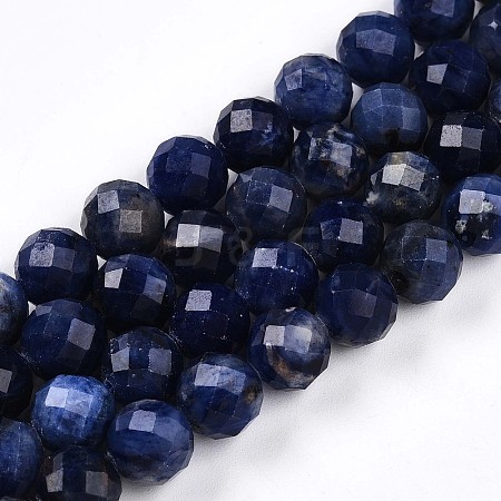 Natural Sodalite Beads Strands G-S345-8mm-26-1