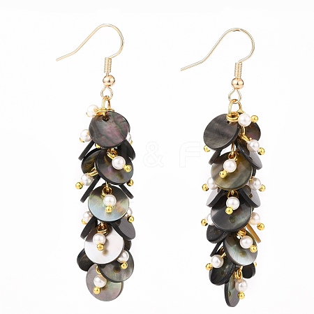 Natural Black Lip Shell Dangle Earrings X1-EJEW-JE04371-1