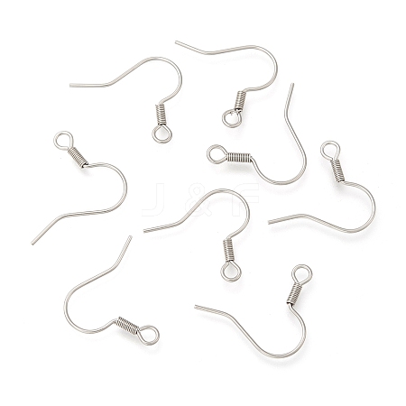 316 Surgical Stainless Steel Earring Hooks X1-STAS-E009-2-1