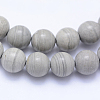 Natural Silver Line Jasper Beads Strands G-F531-6mm-O-3