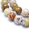 Natural Yellow Opal Beads Strands G-I213-18-10mm-4