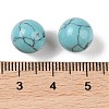 Synthetic Turquoise No Hole Sphere Beads G-K353-04A-12-3