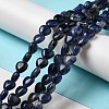 Natural Sodalite Beads Strands G-B022-18B-4