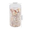 Natural Sea Shell Beads Kits SSHEL-PH0002-49-2