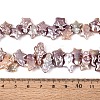 Natural Baroque Keshi Pearl Beads Strands PEAR-S020-Z04-03A-5