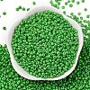 8/0 Baking Paint Glass Seed Beads X1-SEED-M012-02A-39-2