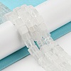 Natural Quartz Crystal Beads Strands G-Q1008-B20-4