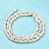 Natural Cultured Freshwater Pearl Beads Strands PEAR-E016-123-3