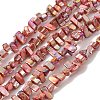 Natural Freshwater Shell Beads Strands BSHE-H018-07B-1