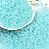 6/0 Luminous Glass Seed Beads SEED-NH0001-01F-2