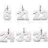 Unicraftale 6Pcs 6 Style 316 Surgical Stainless Steel Charms STAS-UN0040-38P-1