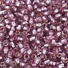 Silver Lined Glass Seed Beads SEED-T007-18A-10-3