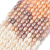 Natural Cultured Freshwater Pearl Beads Strands PEAR-C004-14B-2