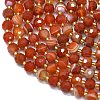 Natural Red Agate Beads Strands G-K389-E79-01-3