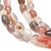 Natural Agate Beads Strands G-C286-A18-3
