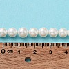 Shell Pearl Bead Strands X-BSHE-L026-03-6mm-8
