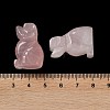Natural Rose Quartz Carved Healing Figurines G-B062-03D-4