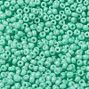 MIYUKI Round Rocailles Beads SEED-G008-RR4472-3