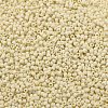 TOHO 11/0 Round Beads X-SEED-TR11-0051F-2