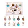10Pcs 10 Style Natural Gemstone Charms G-LS0002-15-1