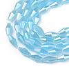 Opaque Glass Beads Strands GLAA-P001-04A-03-2
