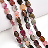 Natural Tourmaline Beads Strands G-T140-14-3