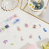 1 Set 12 Colors Shell Slices MRMJ-SP0001-05B-3