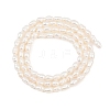 Natural Cultured Freshwater Pearl Beads Strands PEAR-F020-07-3