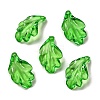 Transparent Acrylic Pendant OACR-E039-69E-1