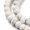 Natural Howlite Beads Strands G-K380-A10-01-4