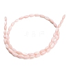 Natural Freshwater Shell Beads Strands SHEL-C010-01F-3