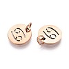 304 Stainless Steel Charms STAS-Q201-T445-4R-2