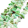 Natural Green Opal Beads Strands G-E569-O14-1