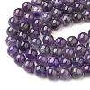 Natural Gemstone Beads Strands X-G-S036-10
