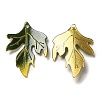 Acrylic Pendants SACR-C002-36-2