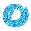 Transparent Glass Beads Strands GLAA-T028-14T-A02-2