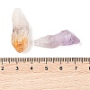 Nuggets Raw Natural Quartz Crystal & Amethyst & Yellow Quartz Collections AJEW-Q152-05-5