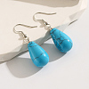 Fashionable Classic Blue Turquoise Dangle Earrings VK0743-5