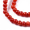 Natural Freshwater Shell Beads Strands SHEL-N026-205A-01-3