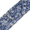 Natural Blue Spot Jasper Beads Strands G-I394-A08-2