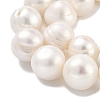 Natural Cultured Freshwater Pearl Beads Strands PEAR-C003-21C-4