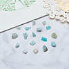 Natural Amazonite Chip Beads G-CJ0001-21-8